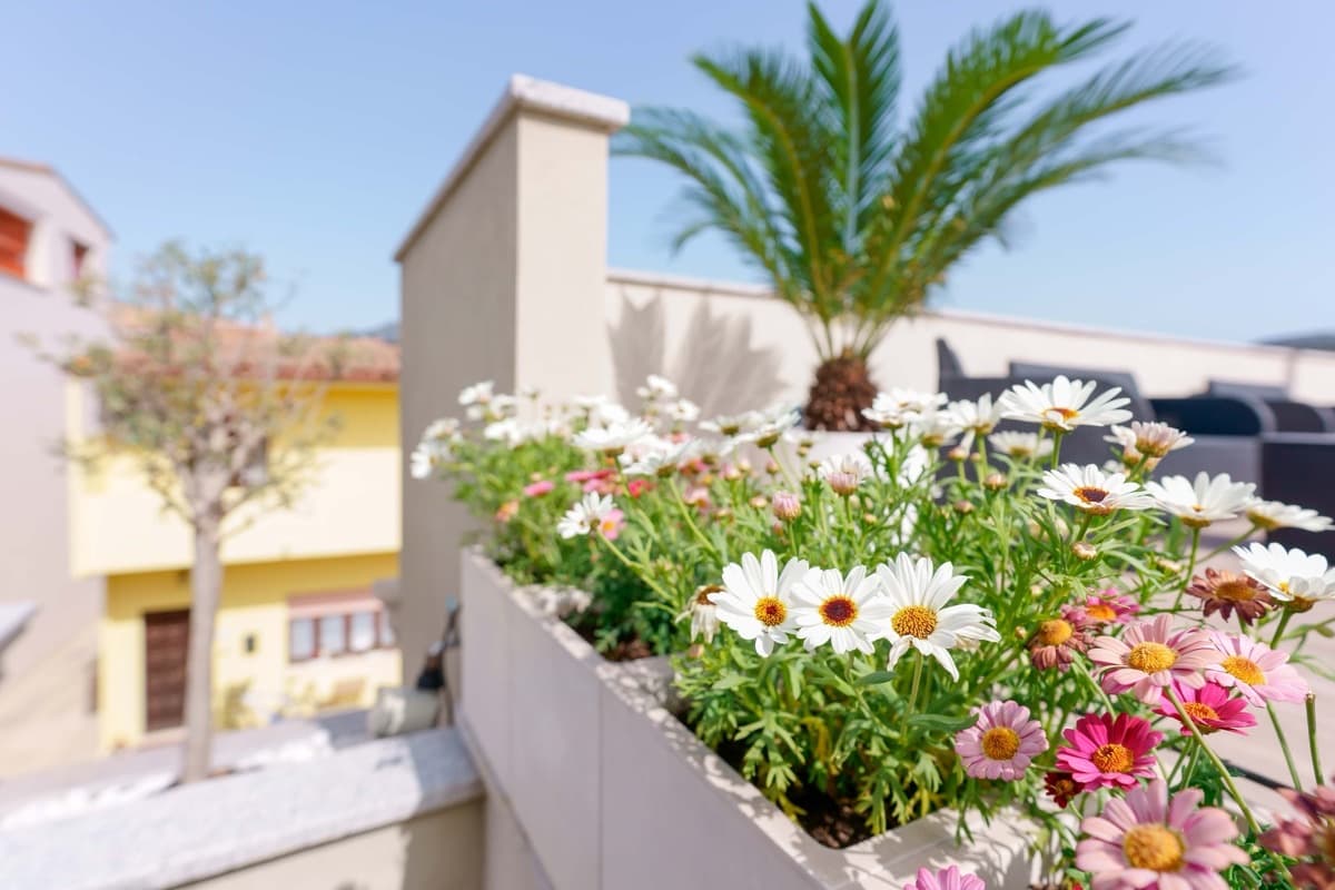 Dettaglio amenità in camera